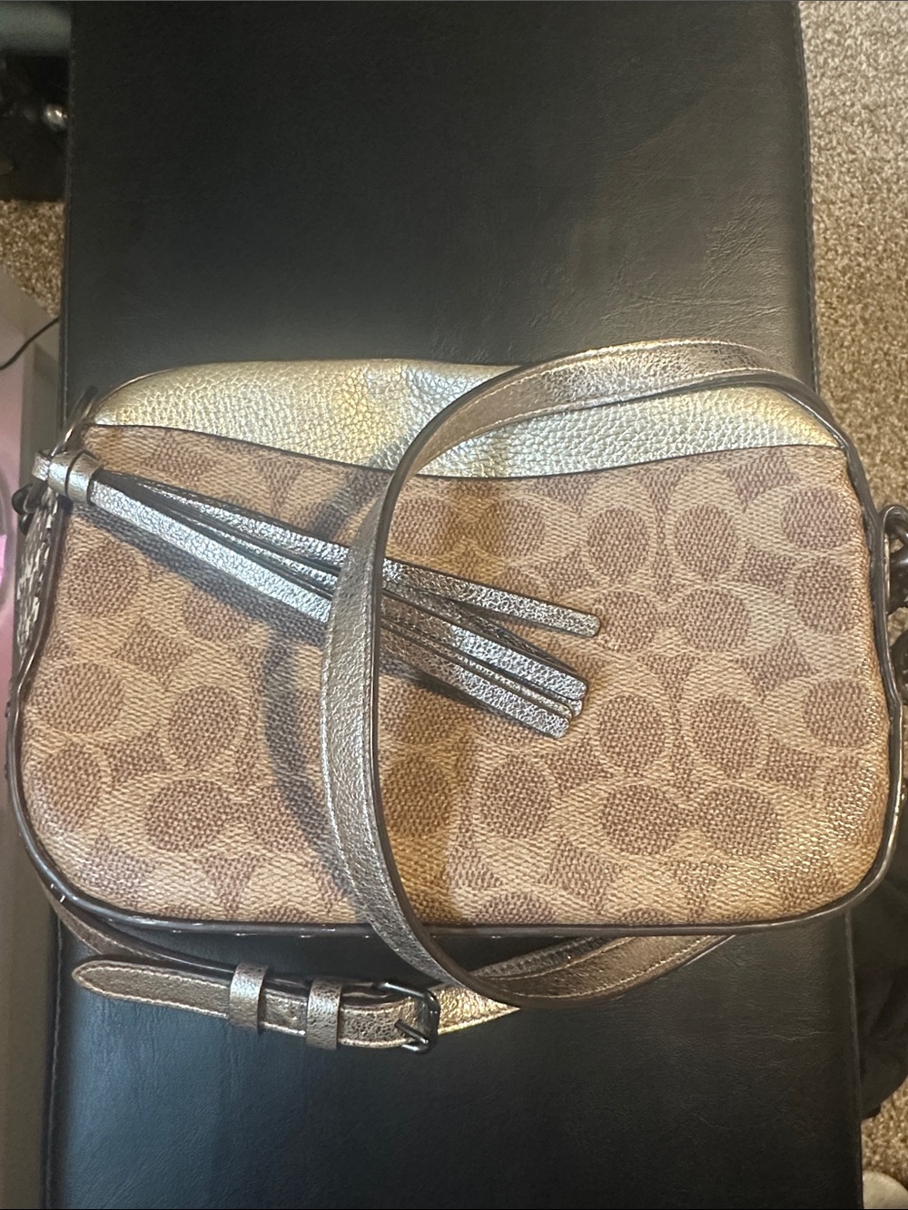 Camera Bag in Signature Canvas with Snakeskin Detail
